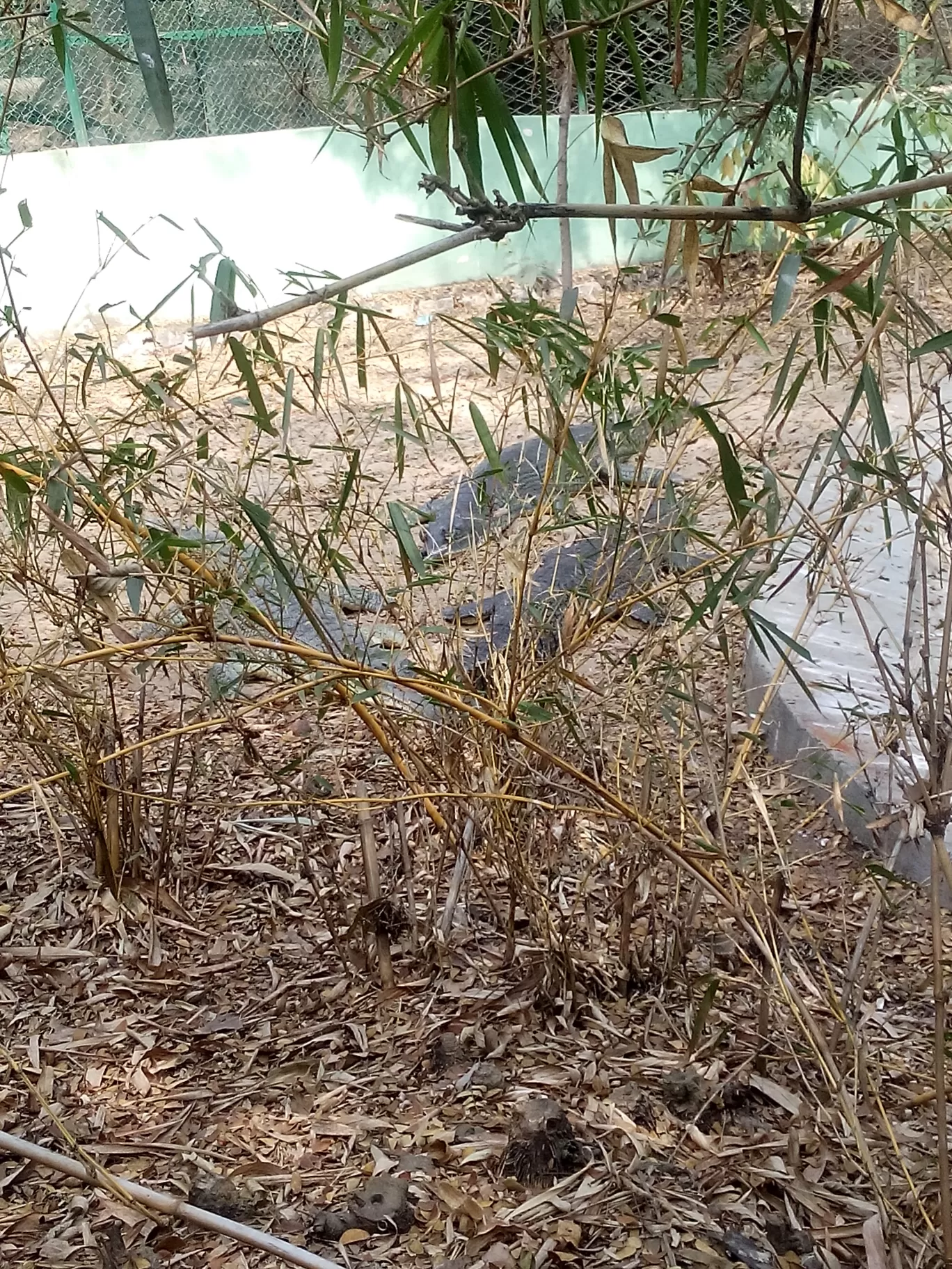 Photo of Bannerghatta Biological Park By So An