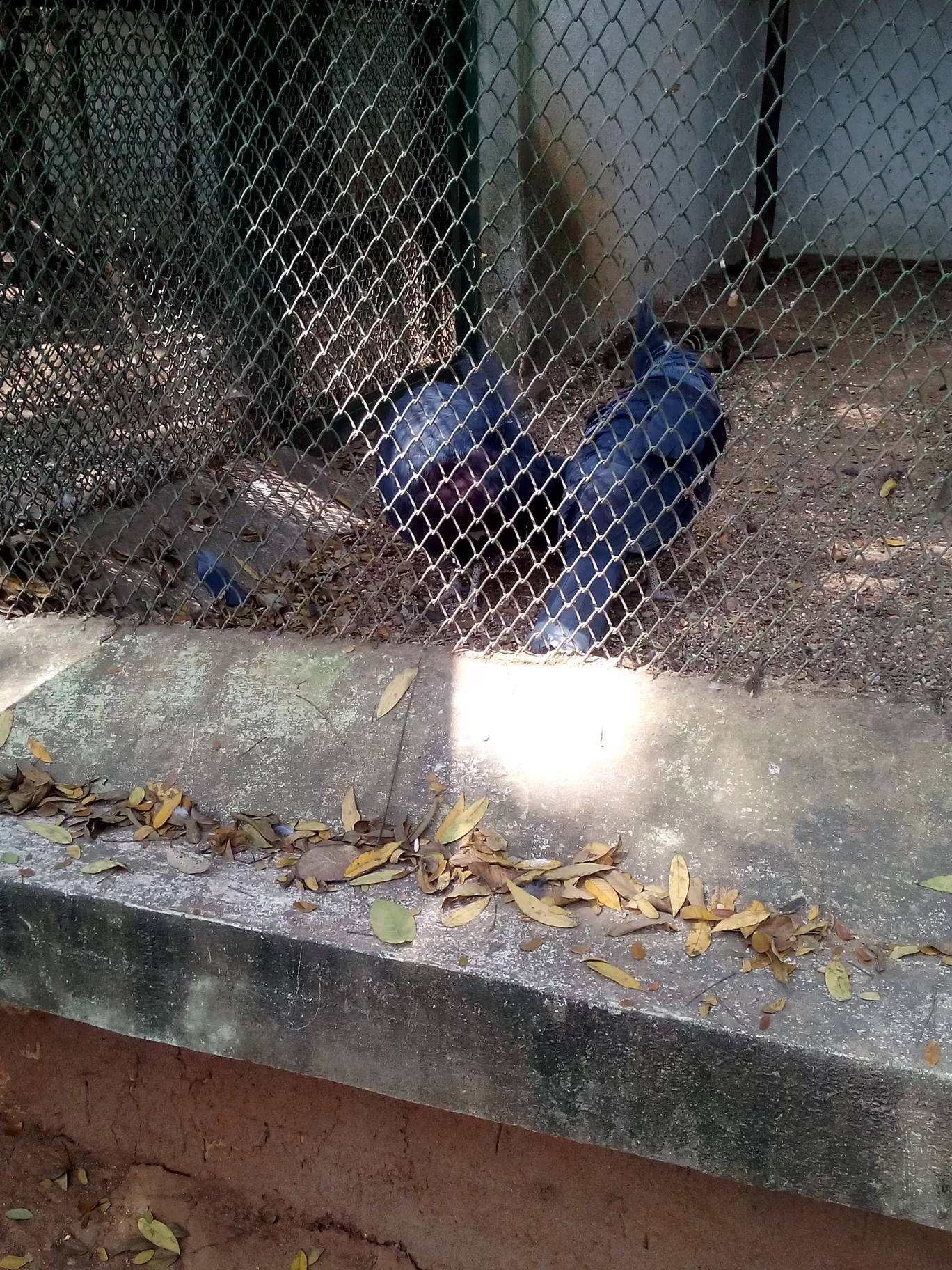 Photo of Bannerghatta Biological Park By So An
