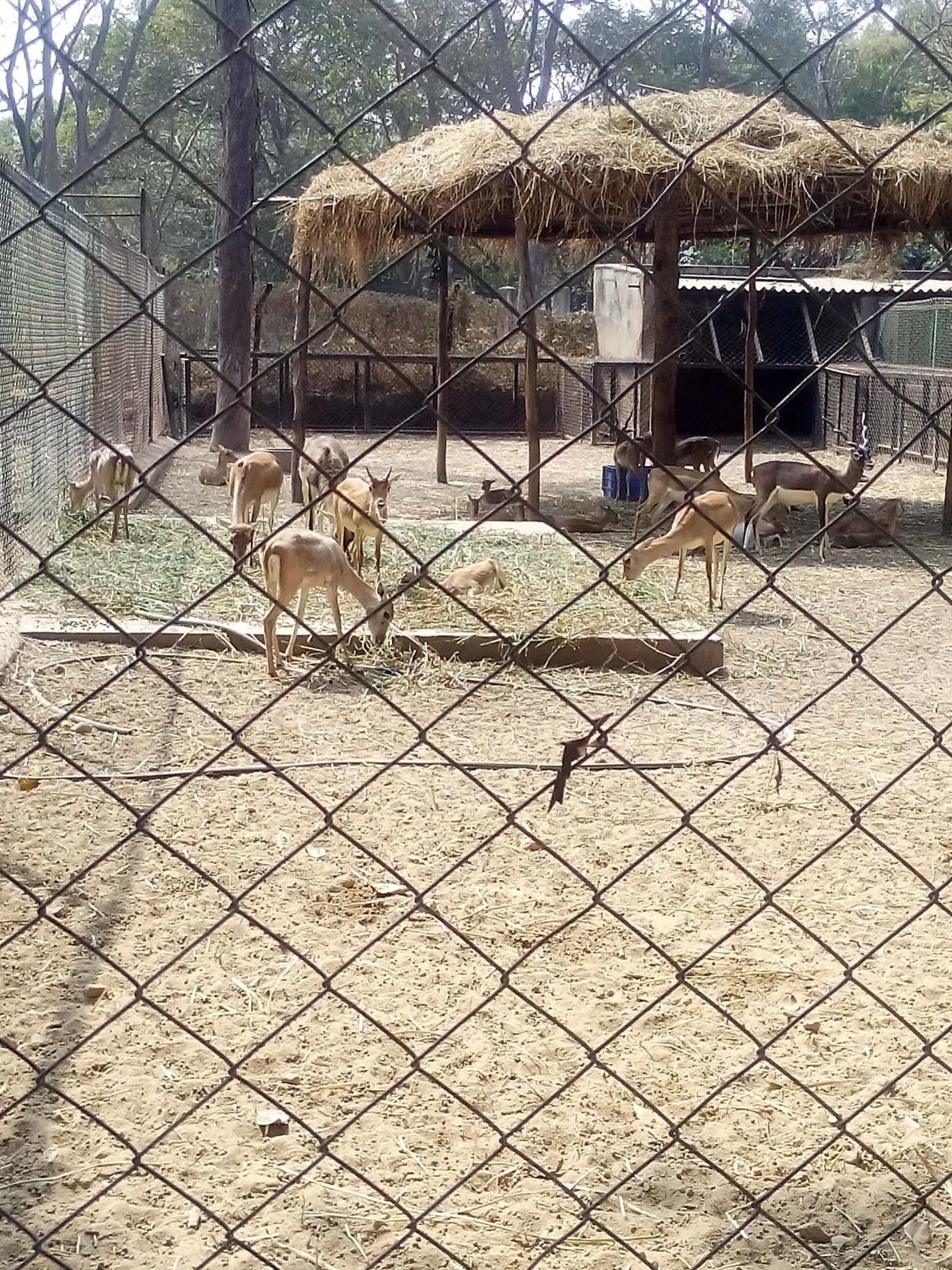 Photo of Bannerghatta Biological Park By So An