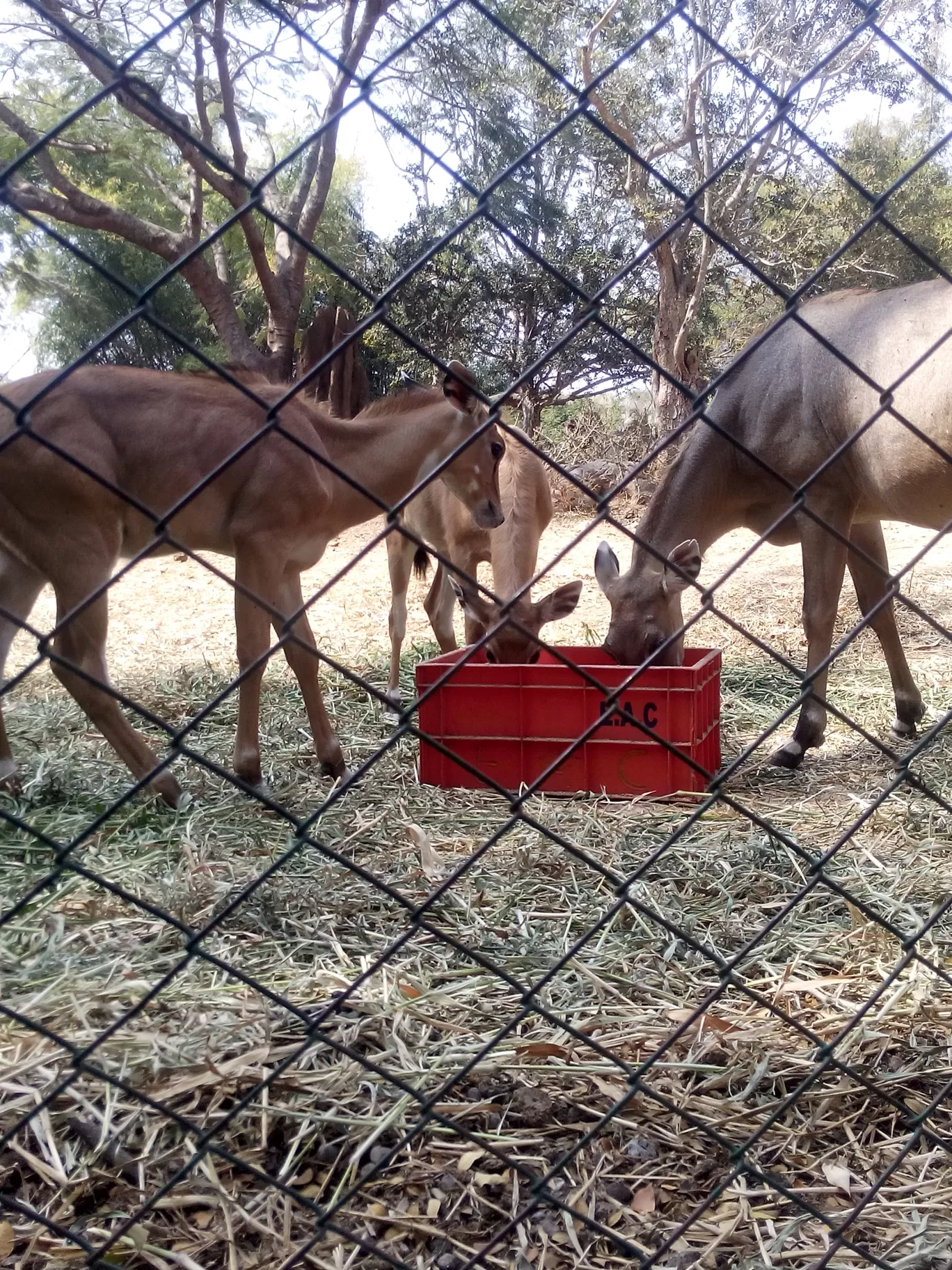Photo of Bannerghatta Biological Park By So An