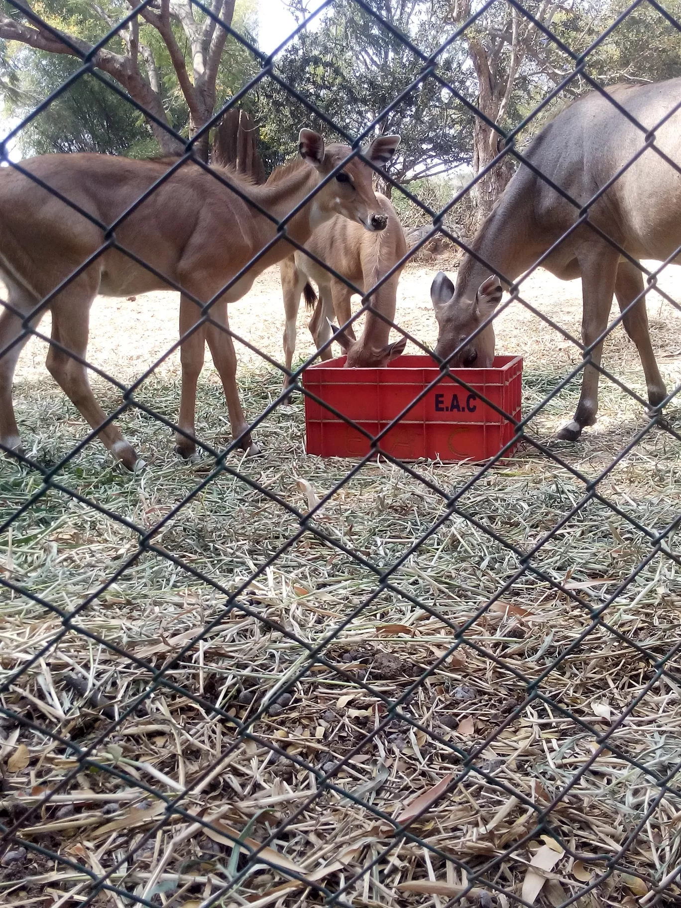 Photo of Bannerghatta Biological Park By So An