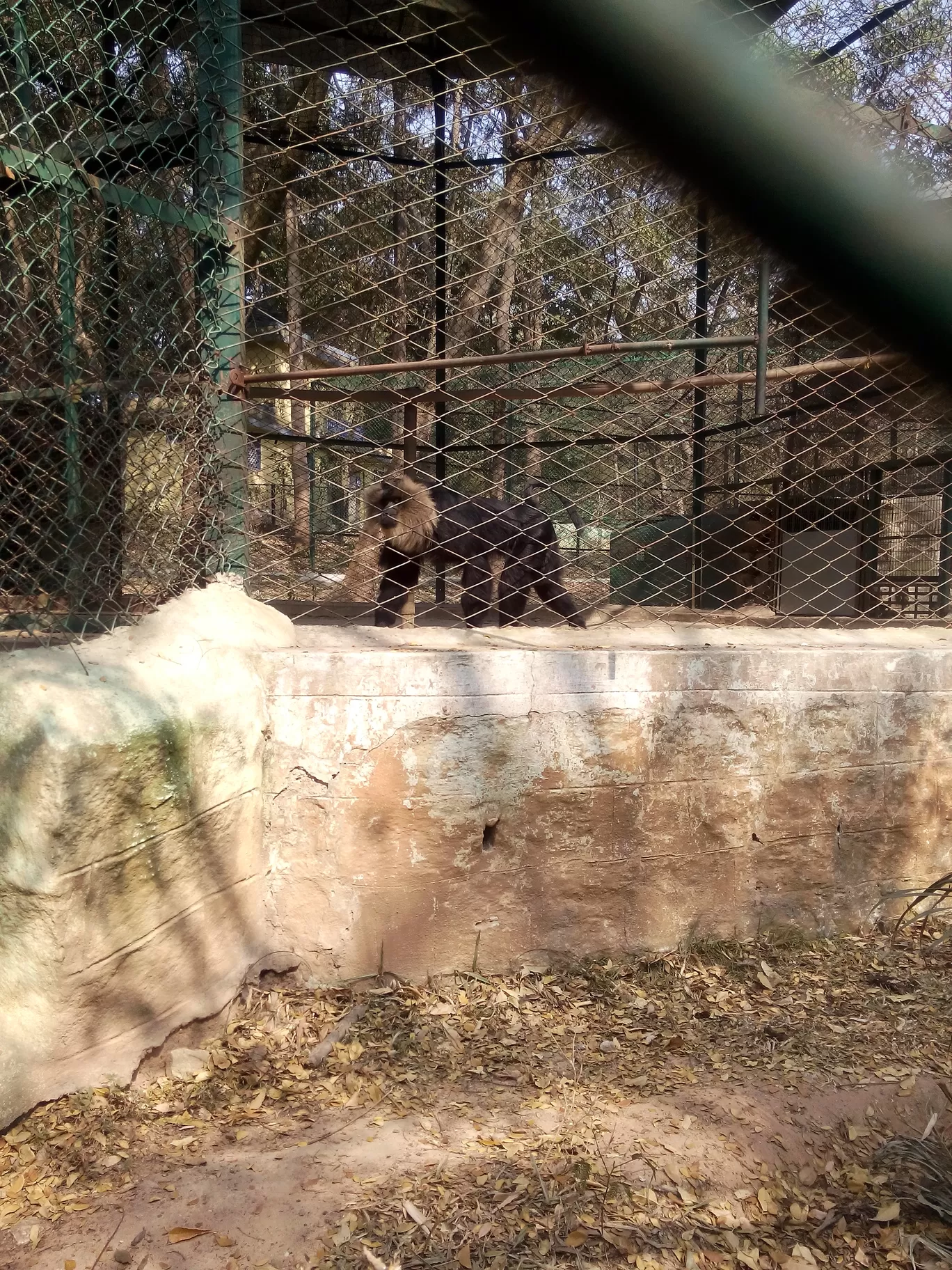Photo of Bannerghatta Biological Park By So An