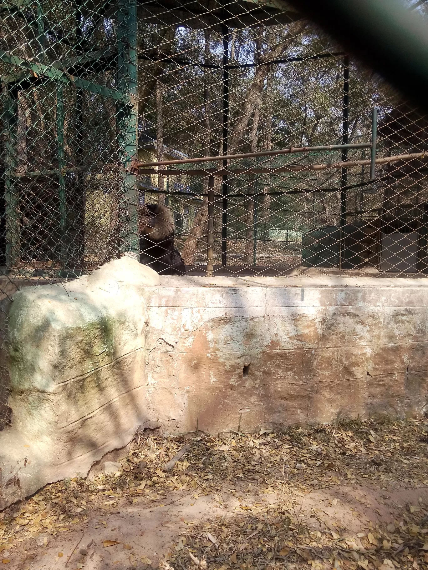 Photo of Bannerghatta Biological Park By So An