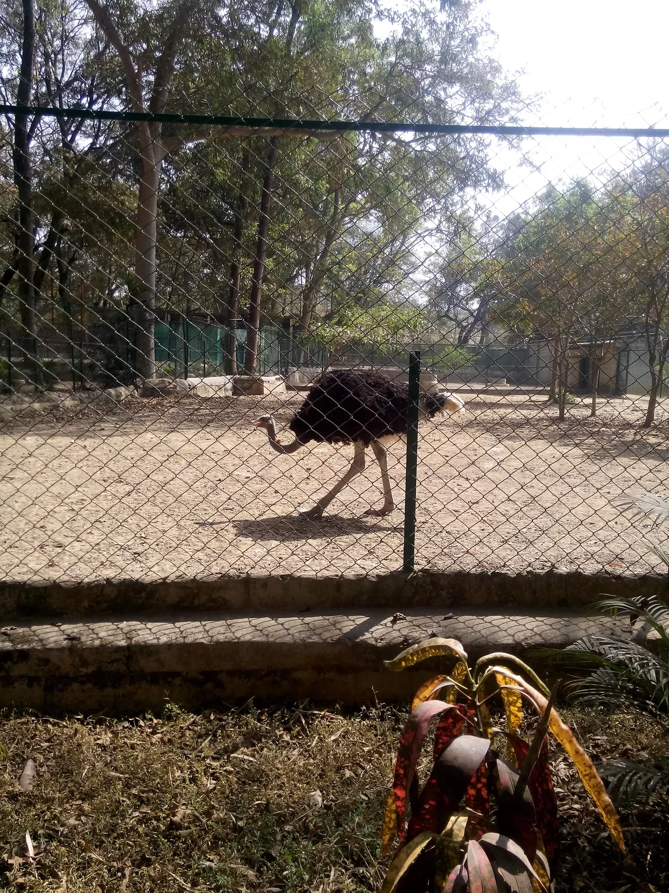 Photo of Bannerghatta Biological Park By So An