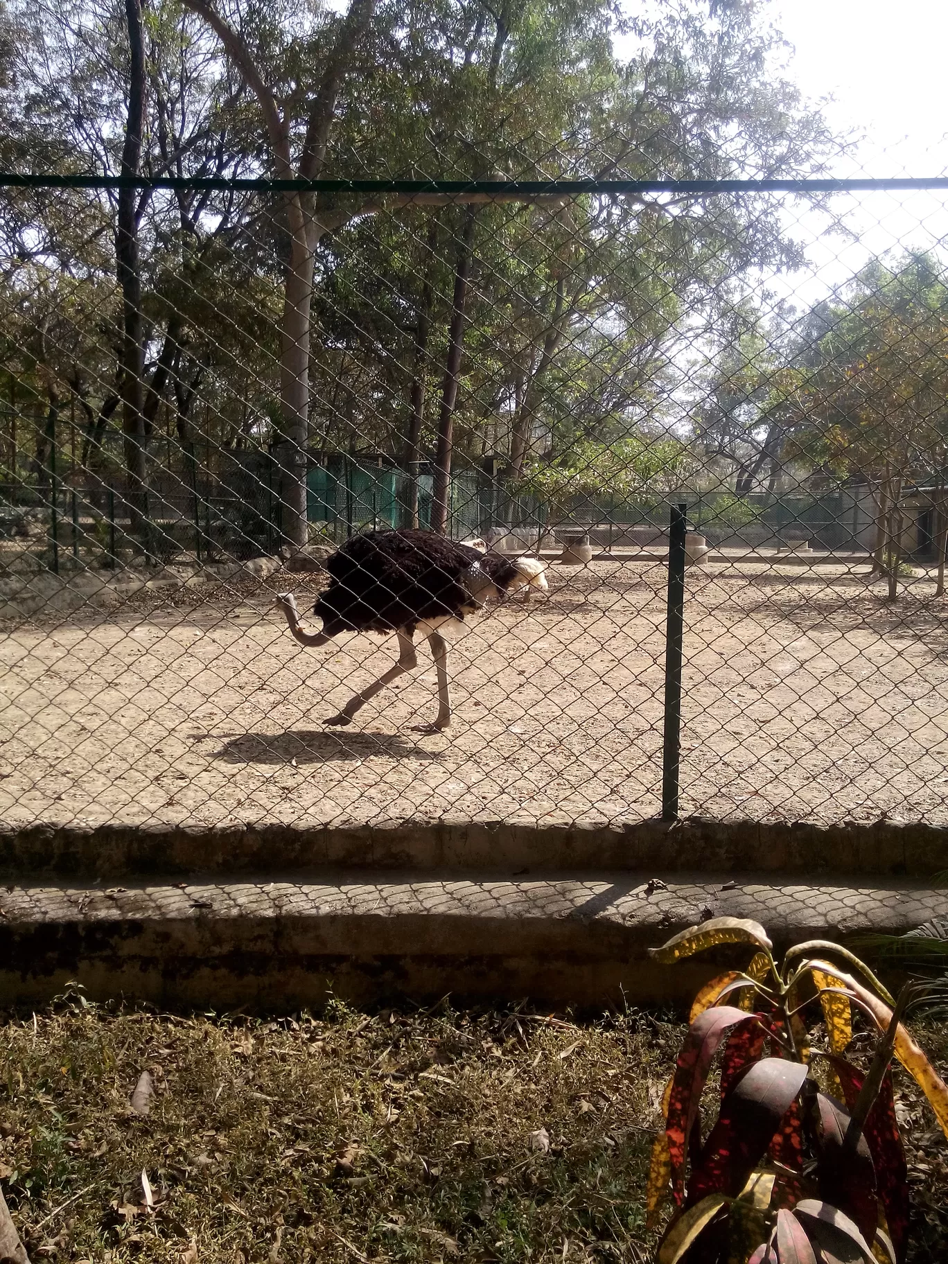 Photo of Bannerghatta Biological Park By So An
