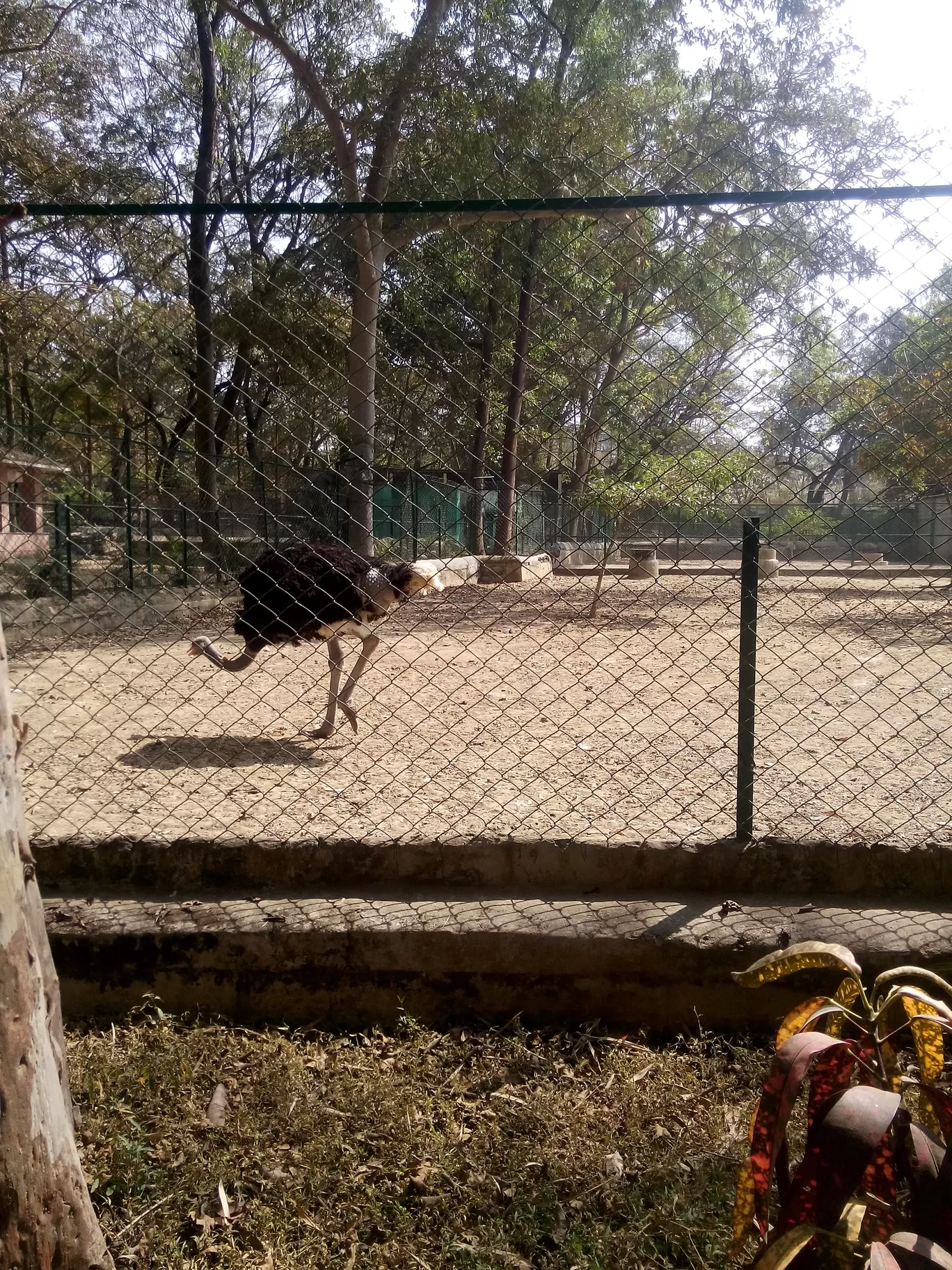 Photo of Bannerghatta Biological Park By So An