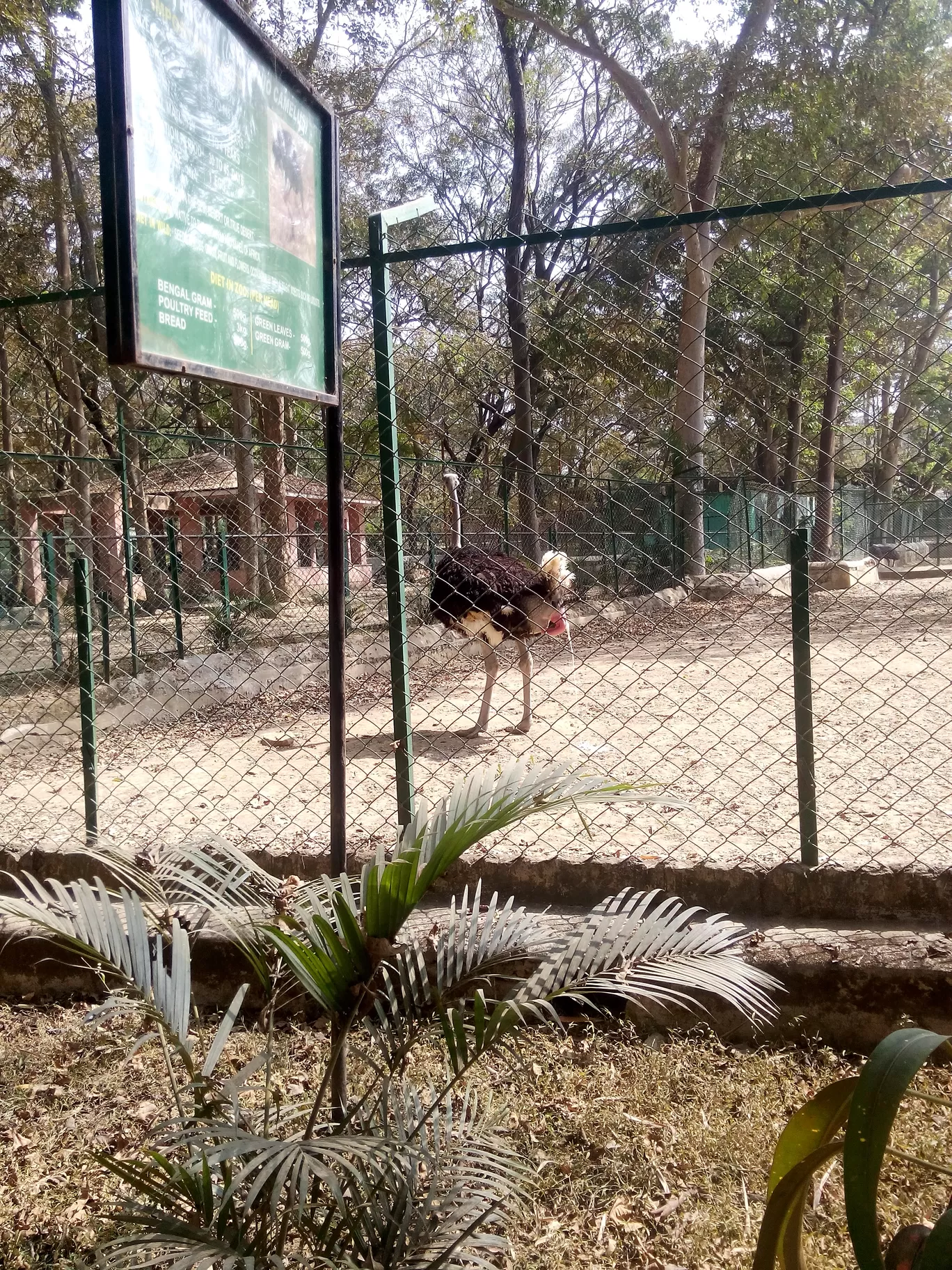Photo of Bannerghatta Biological Park By So An