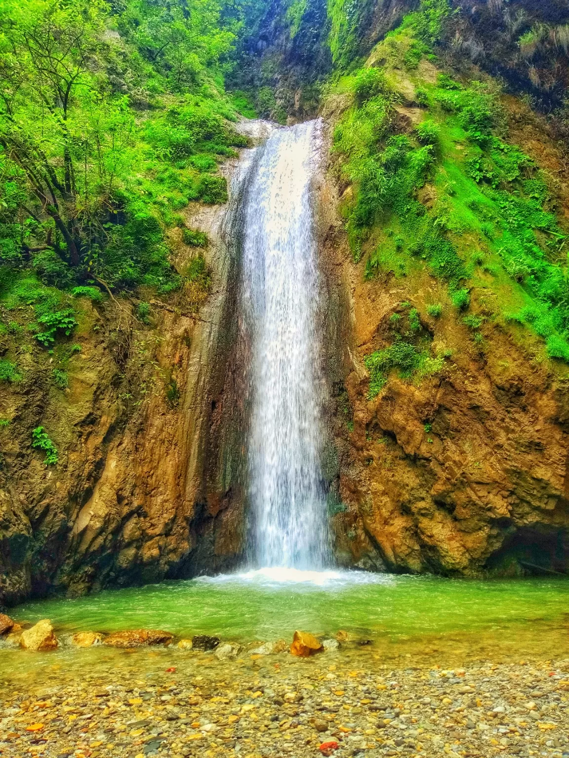 Photo of Jharipani Fall By Mohit kumar pal