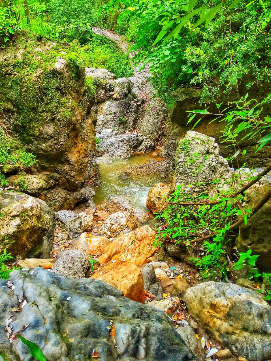 Photo of Jharipani Fall By Mohit kumar pal