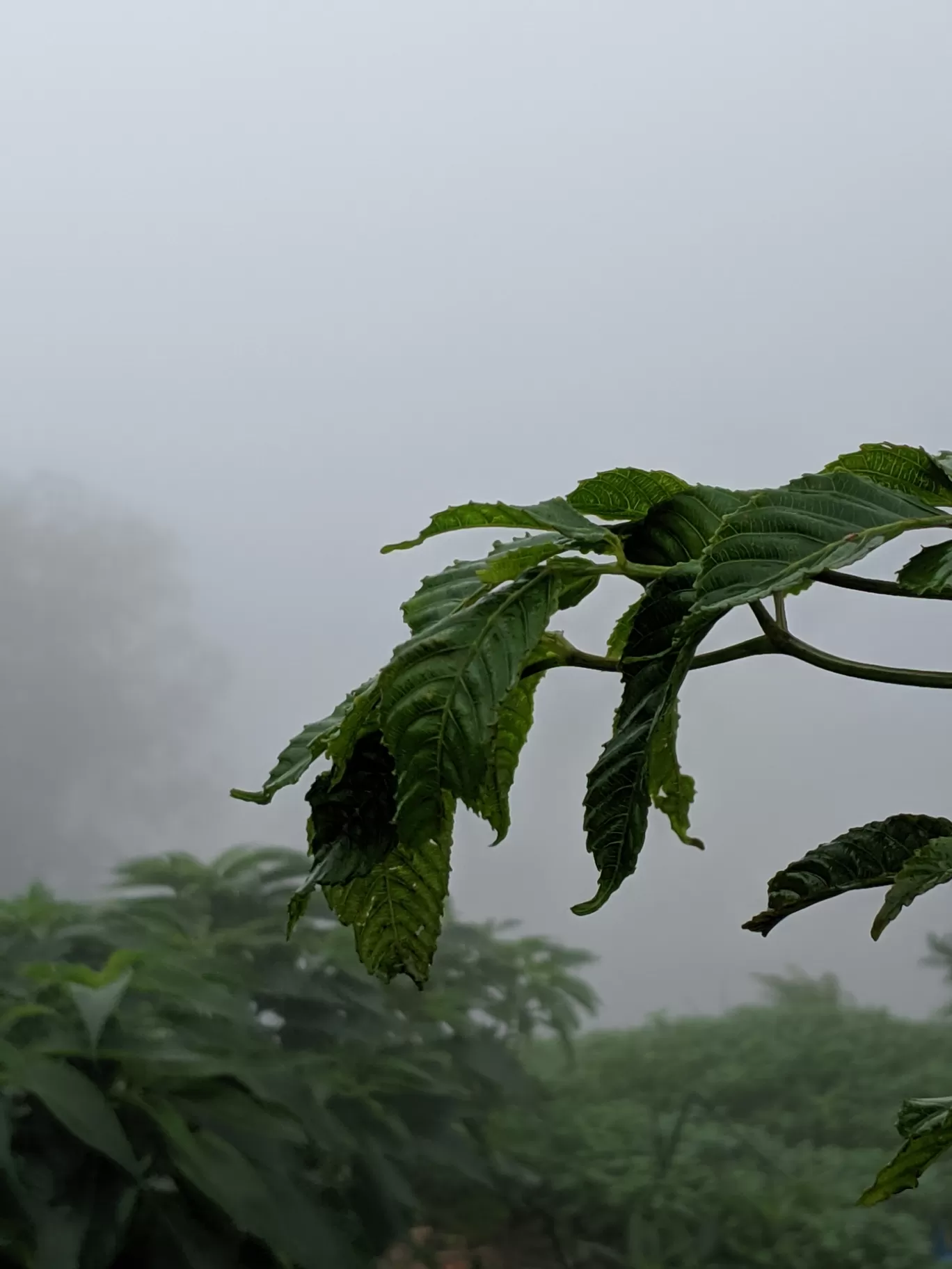 Photo of Lonavala By Abdul Rahman