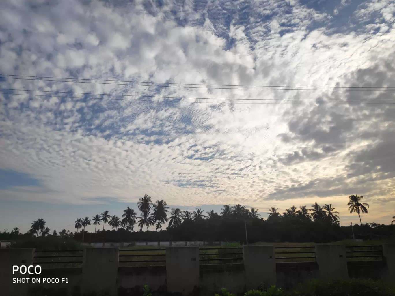 Photo of Bilimora By Shivangi Mistry