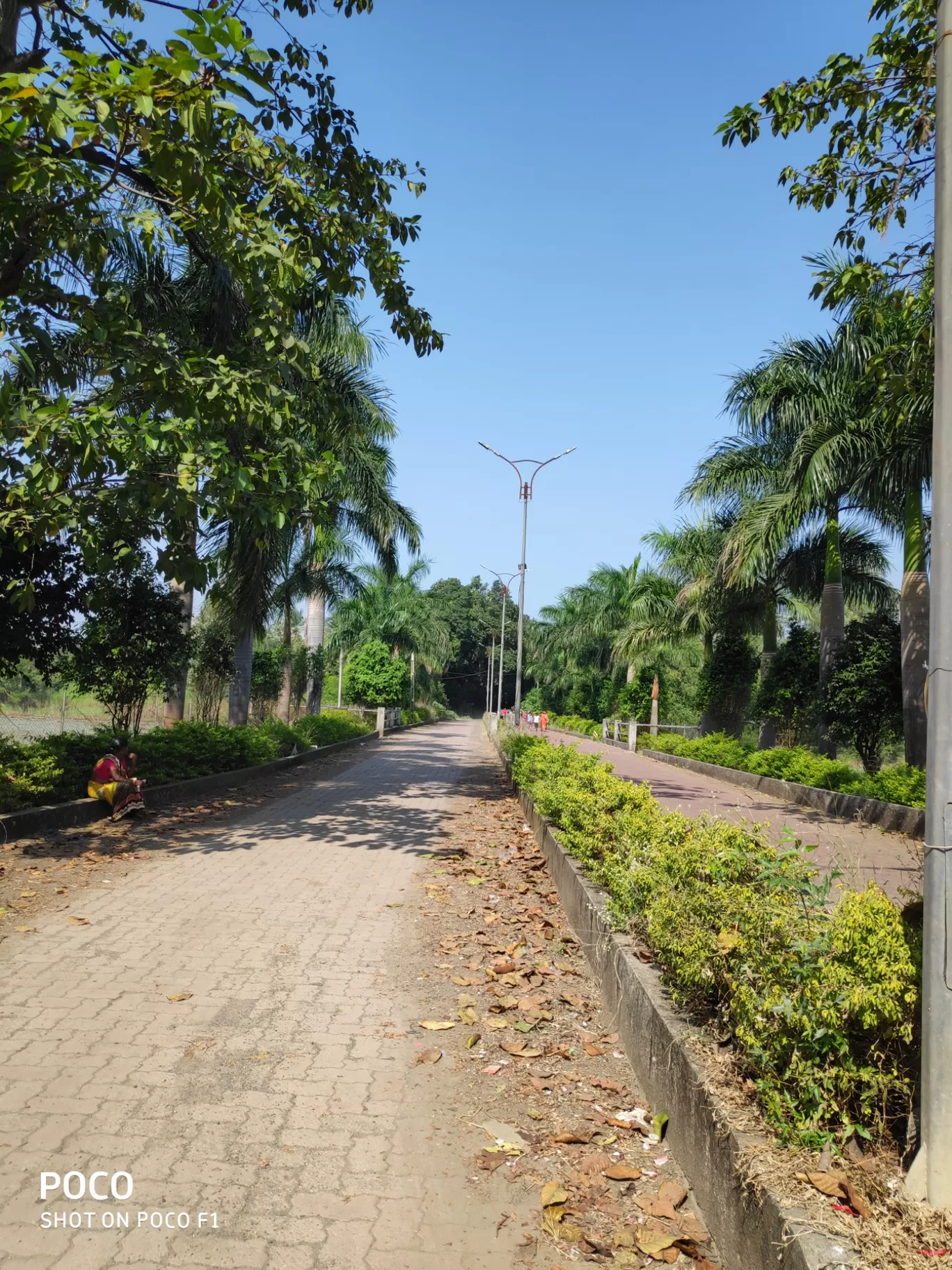 Photo of Bilimora By Shivangi Mistry