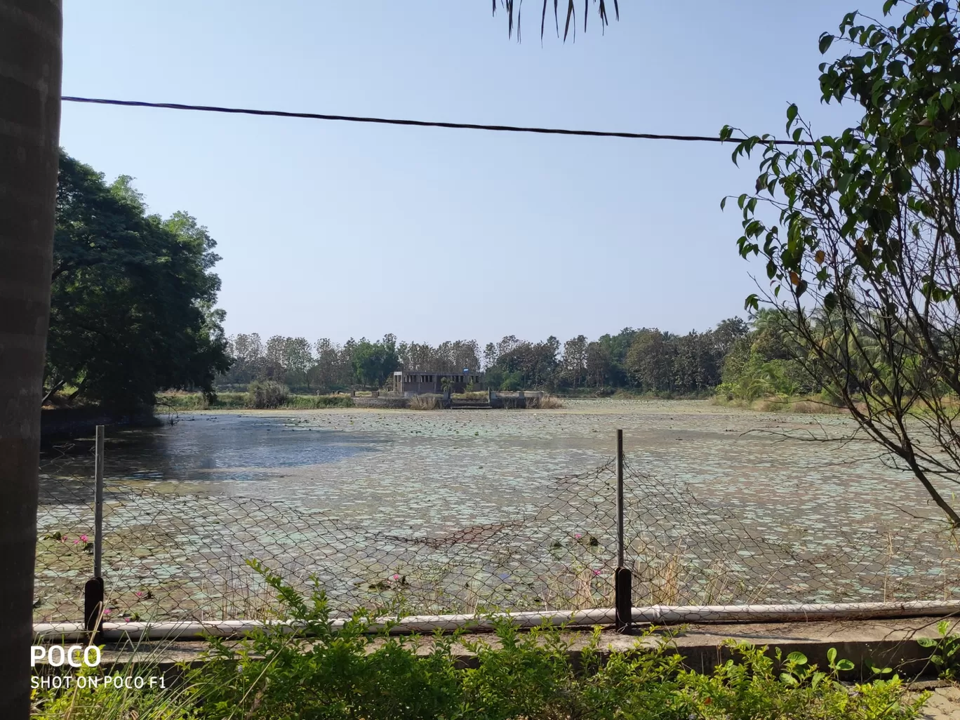 Photo of Bilimora By Shivangi Mistry