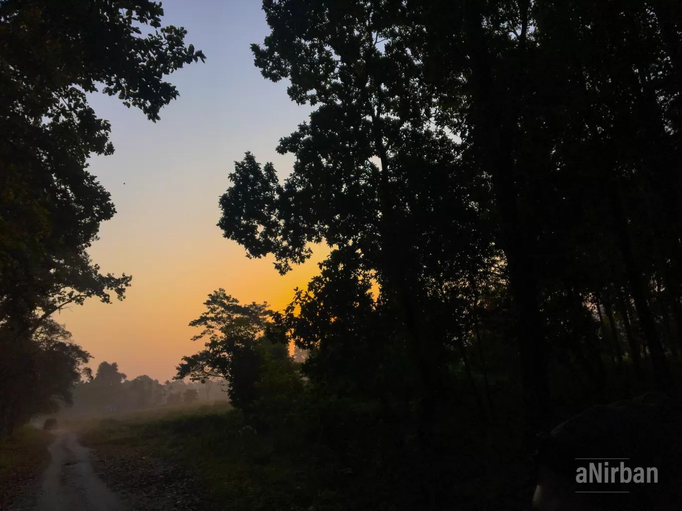 Photo of Lataguri By Anirban Manna