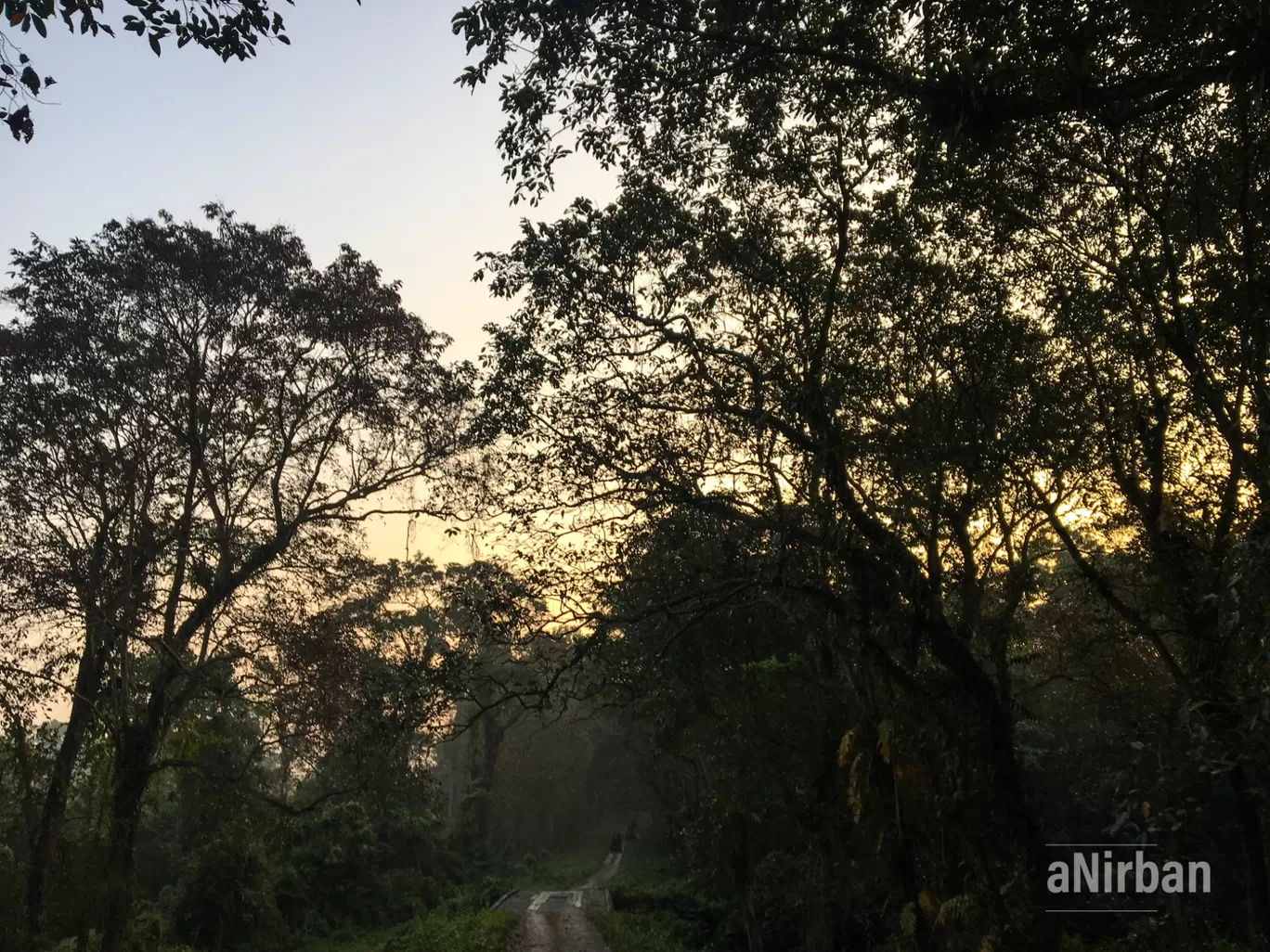 Photo of Lataguri By Anirban Manna
