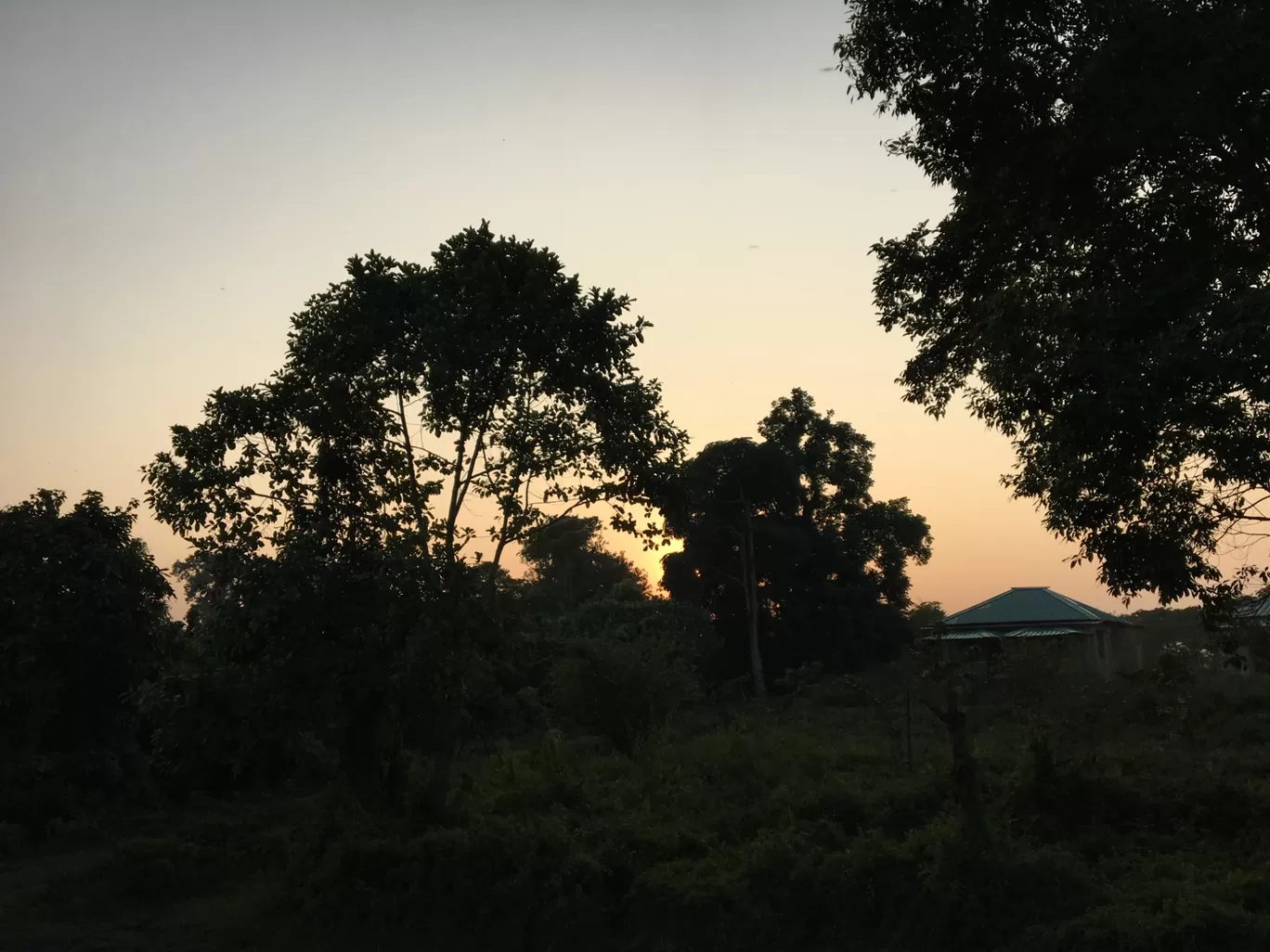 Photo of Lataguri By Anirban Manna