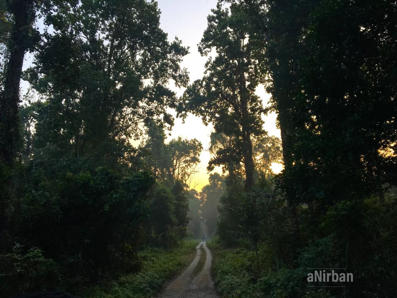 Photo of Lataguri By Anirban Manna