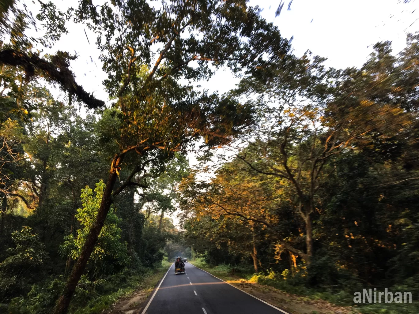 Photo of Lataguri By Anirban Manna