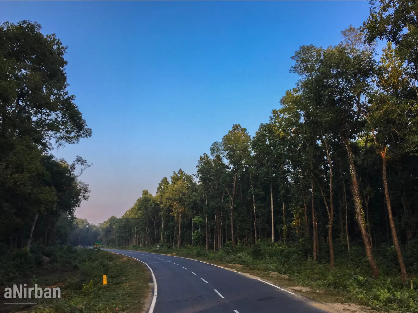 Photo of Lataguri By Anirban Manna