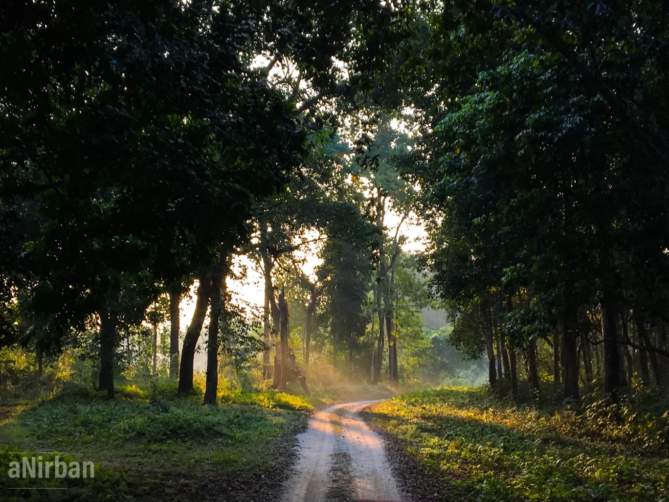 Photo of Lataguri By Anirban Manna