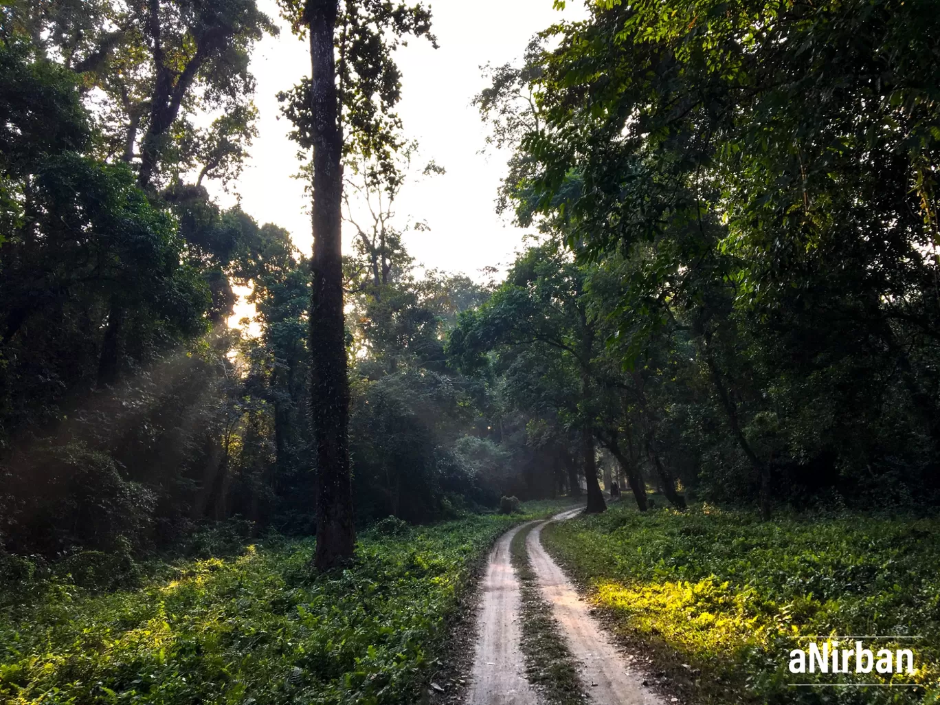 Photo of Lataguri By Anirban Manna