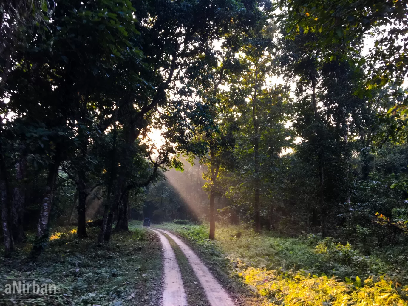 Photo of Lataguri By Anirban Manna