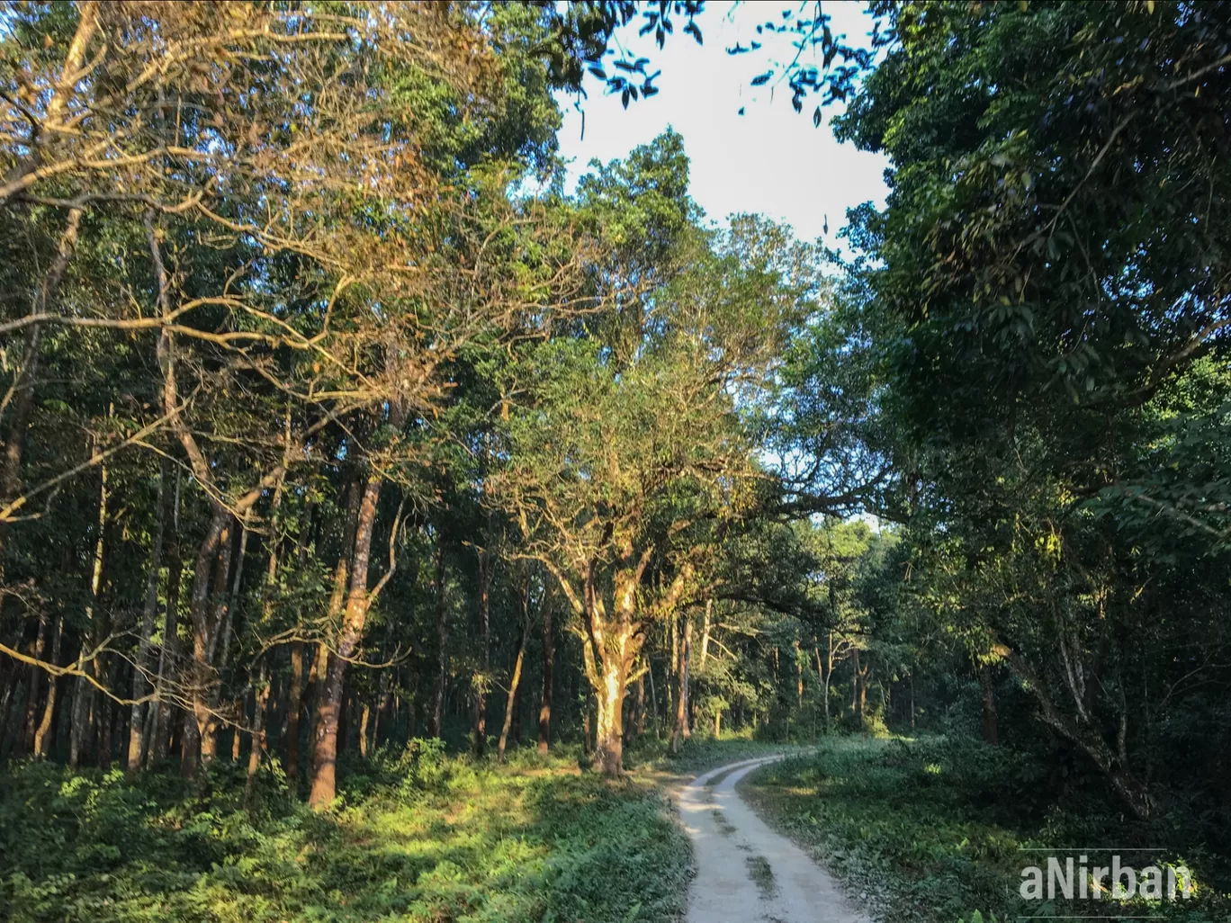 Photo of Lataguri By Anirban Manna