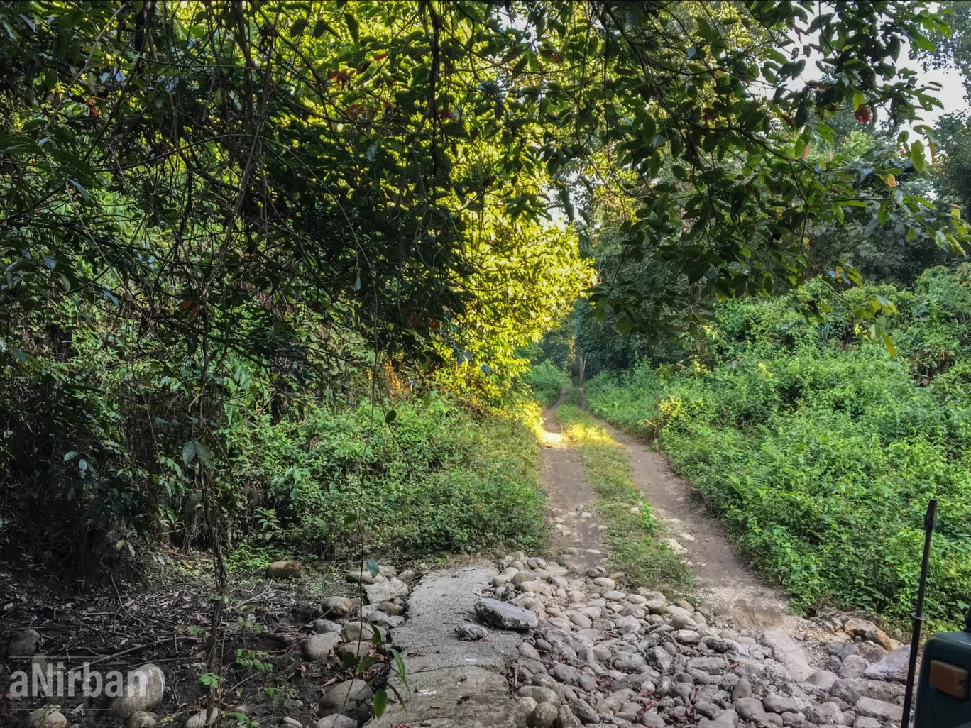 Photo of Lataguri By Anirban Manna