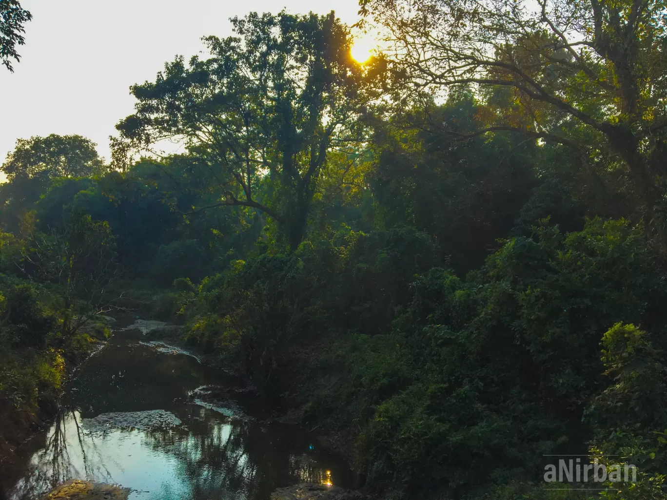 Photo of Lataguri By Anirban Manna