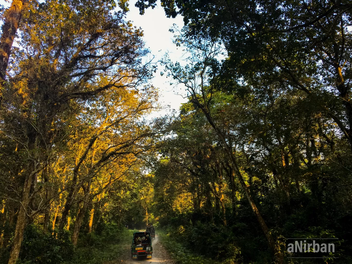 Photo of Lataguri By Anirban Manna
