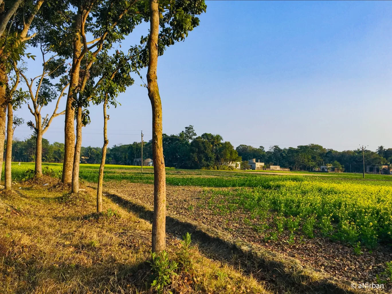 Photo of Taki By Anirban Manna