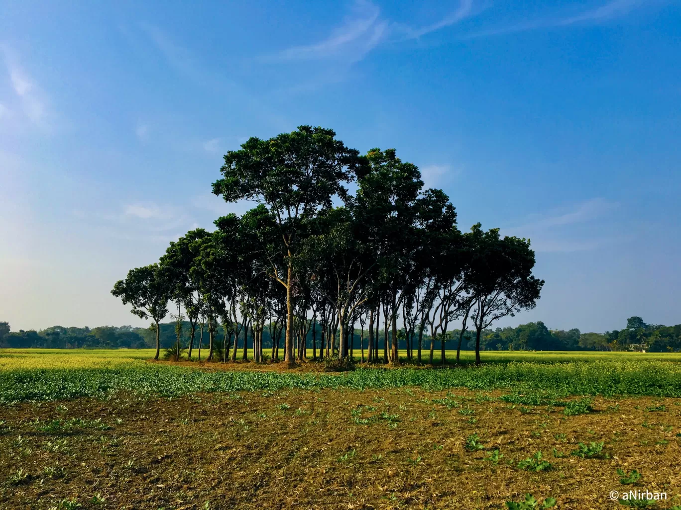 Photo of Taki By Anirban Manna