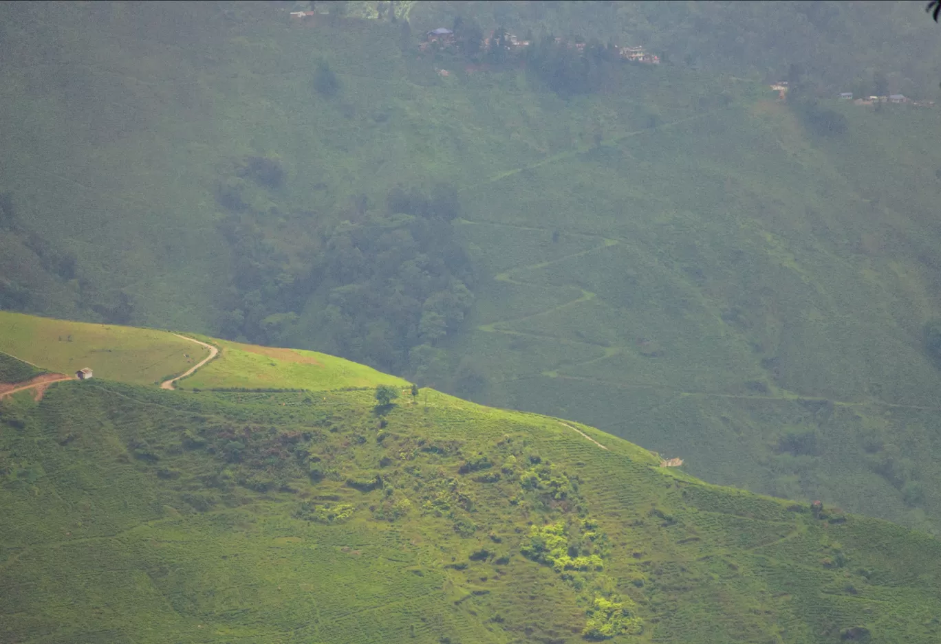Photo of Darjeeling By Sounak Ghosh