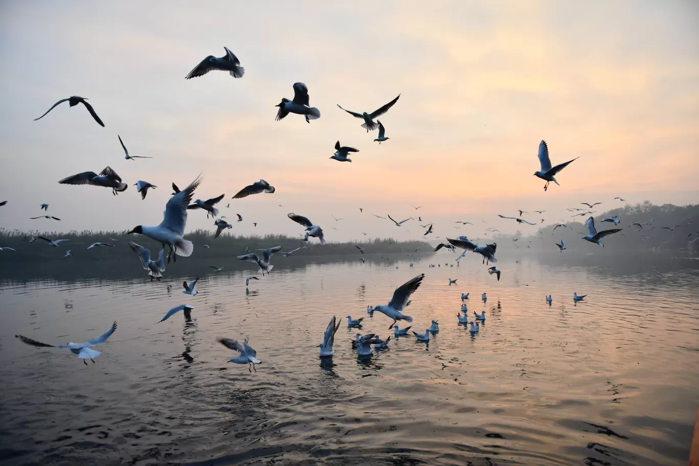 Photo of Nigambodh Ghat By Anurag Priyadarshi
