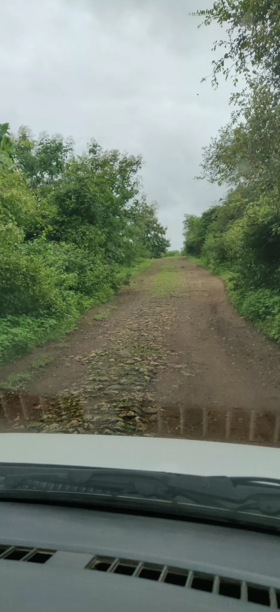 Photo of Sasan Gir By Parshwa Sanghvi