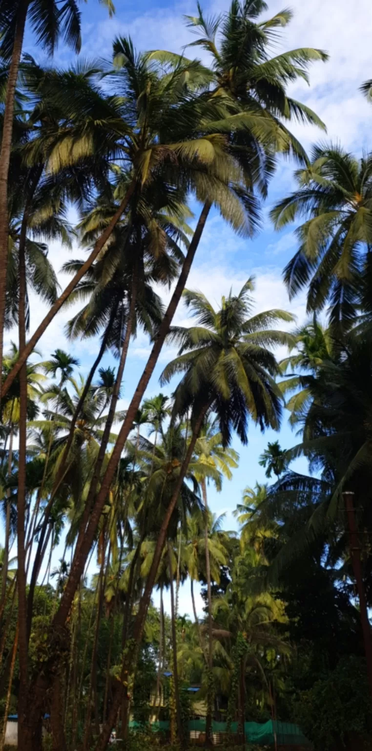 Photo of Alibag By heet