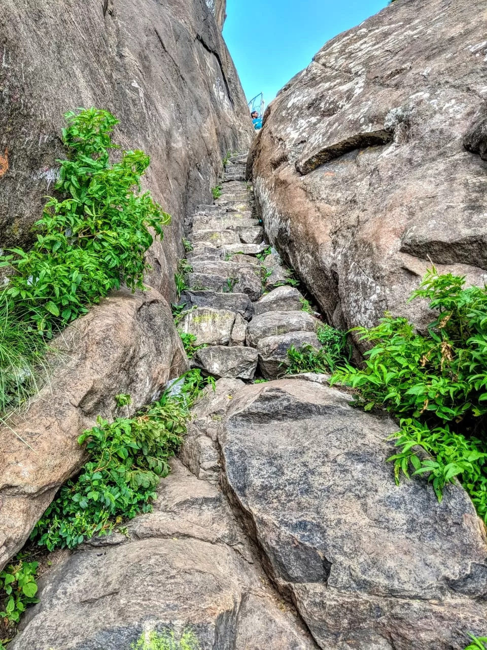 Photo of Parvathamalai Trail By Arun Kumar AR