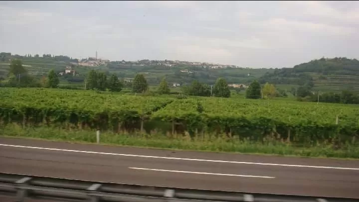 Photo of Italy By Happyman Sadman But Freeman
