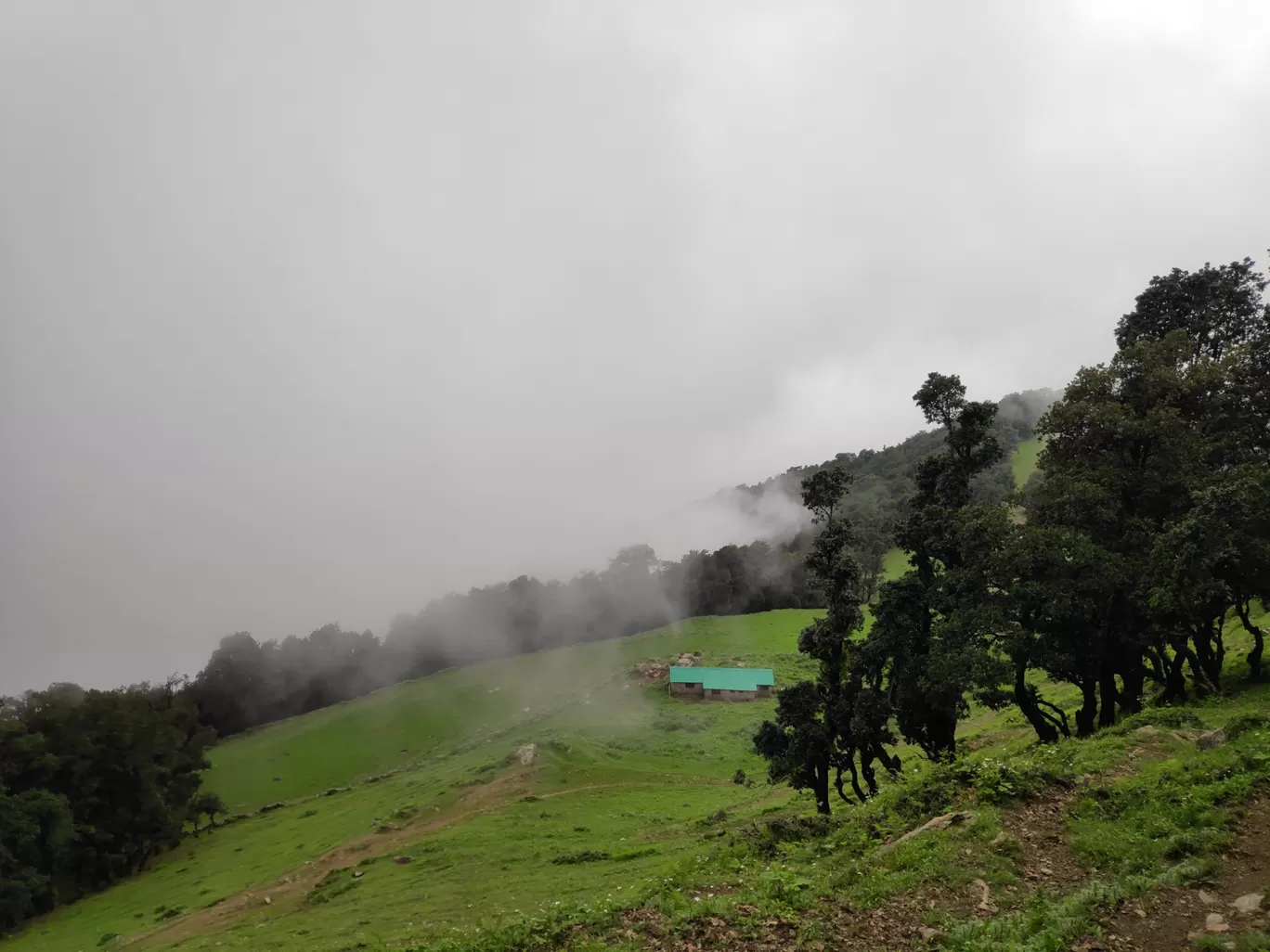 Photo of NagTibba Trekking By Ravi Kumar