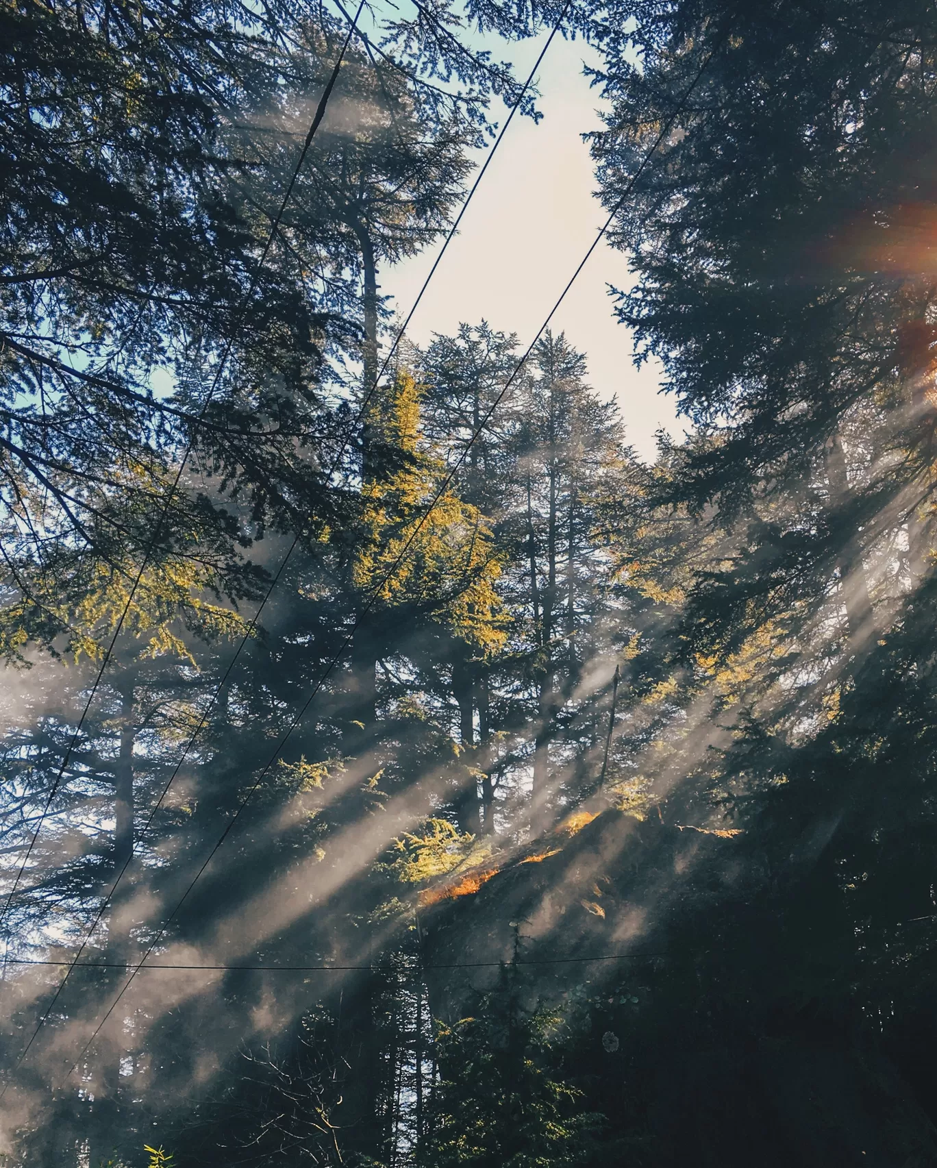 Photo of Manali By Srideep Ghosh