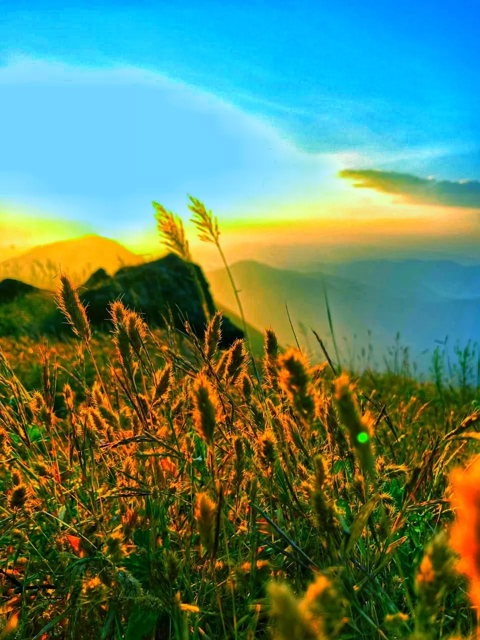 Photo of India By Yohan Ram