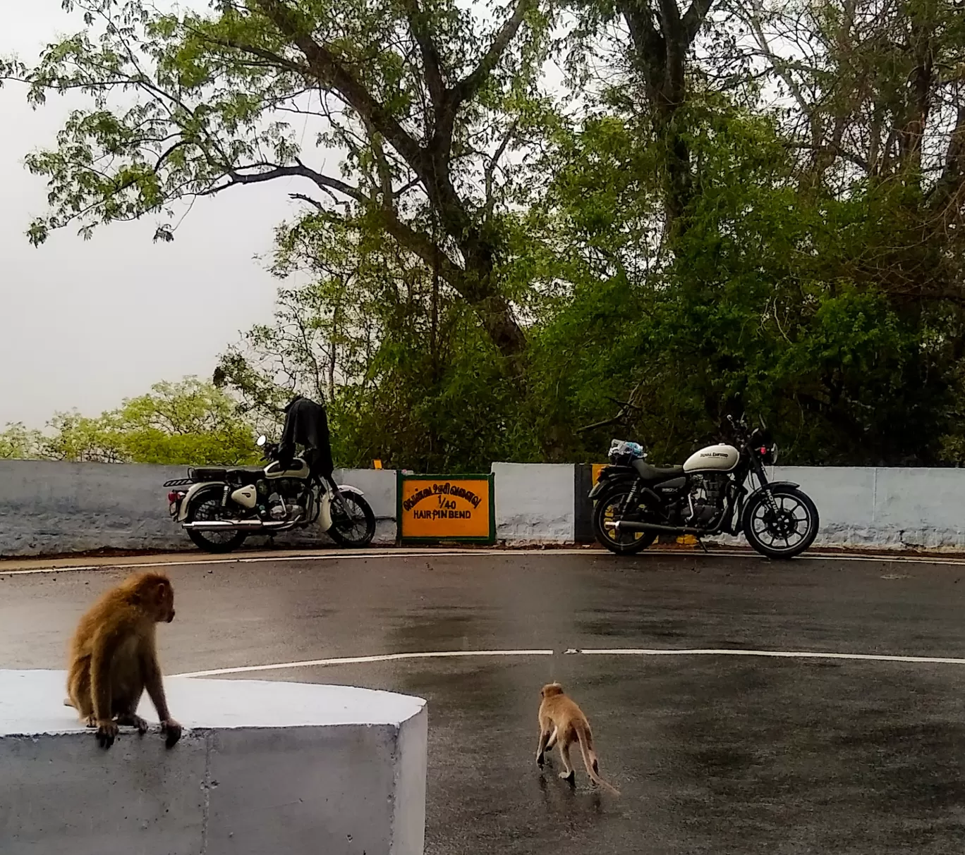Photo of Valparai By Shibu Chandran