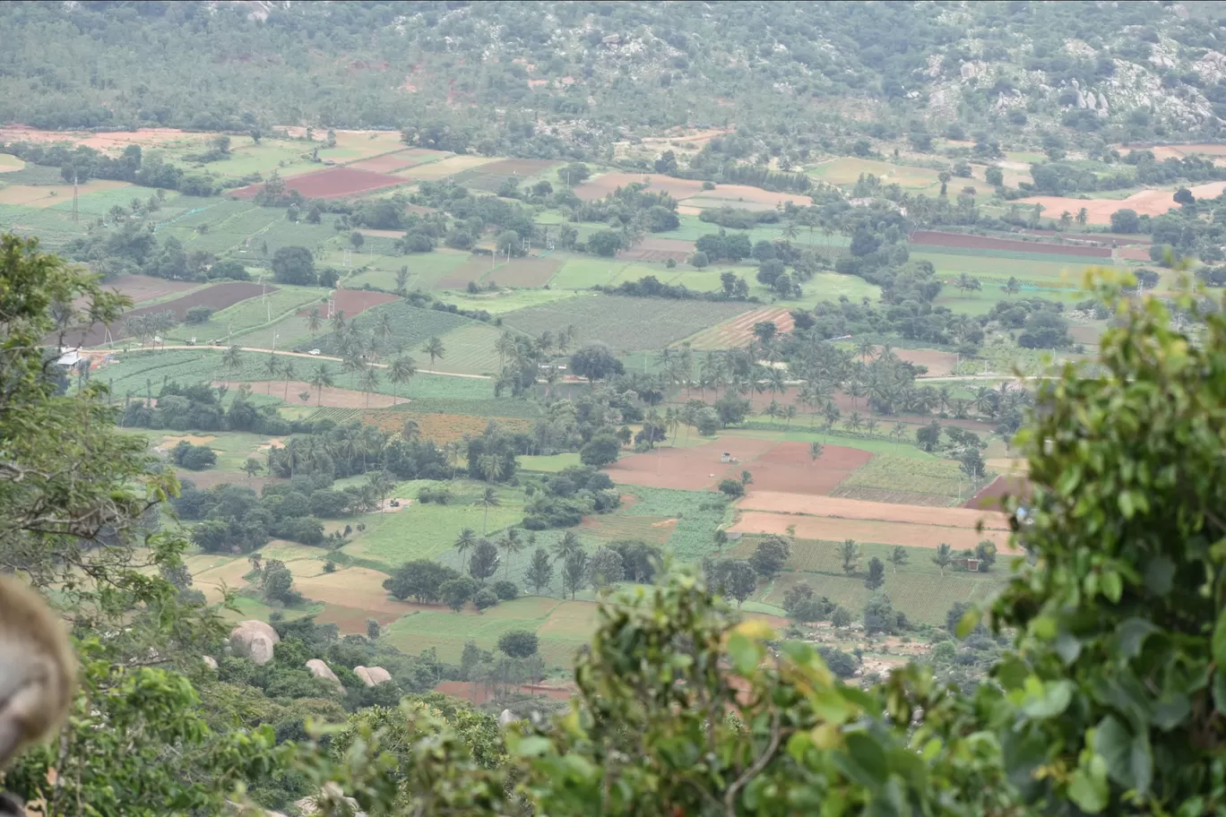 Photo of Avalabetta Hill Top View Point By Dr Nareshachari D B