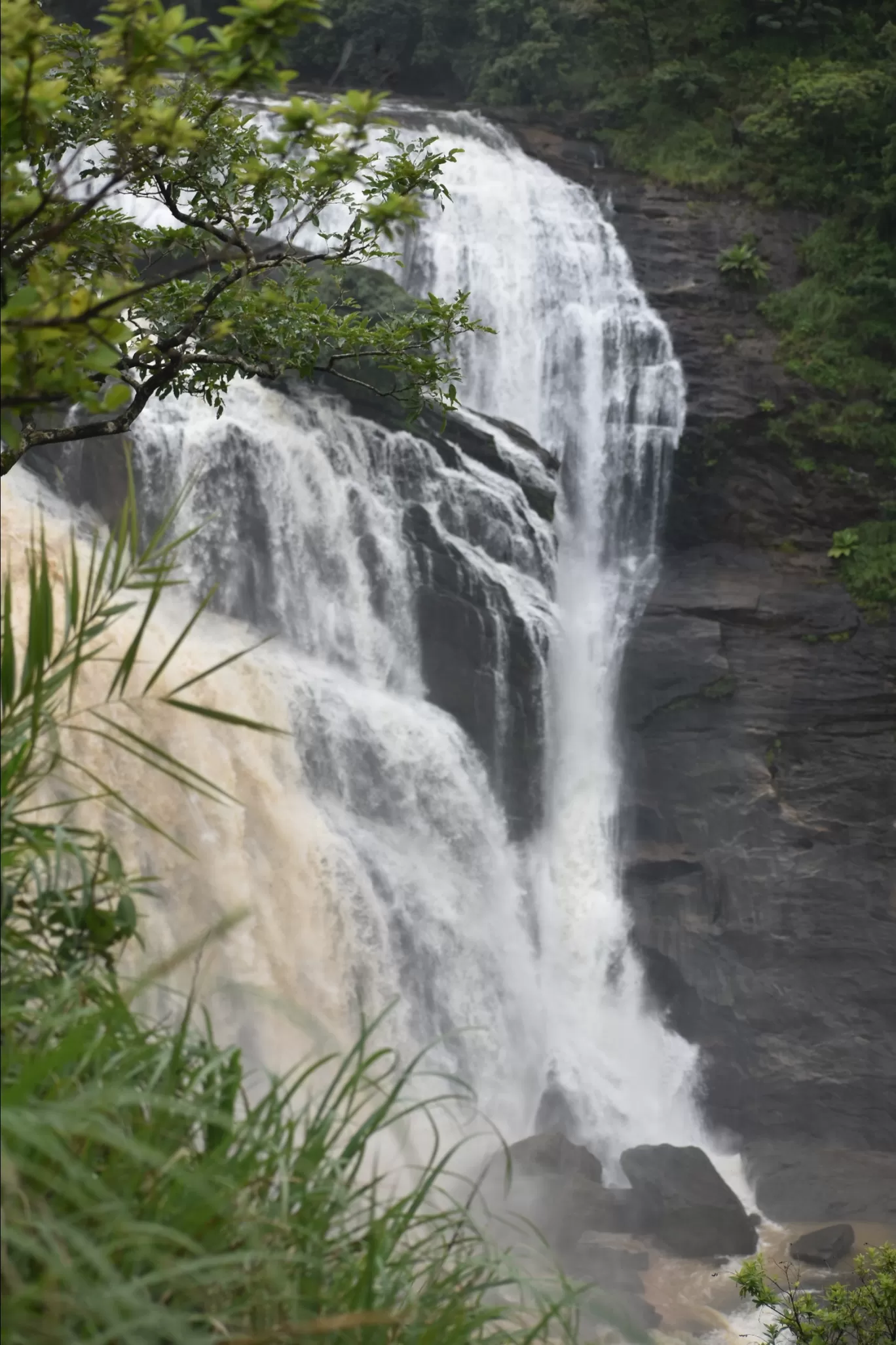 Photo of Mallalli Waterfalls By Dr Nareshachari D B