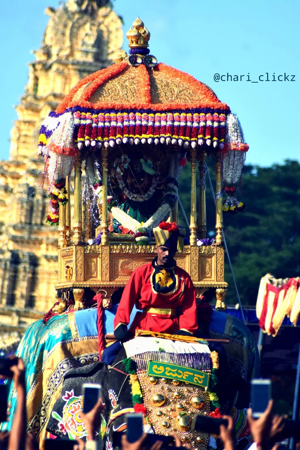 Photo of Mysore By Dr Nareshachari D B