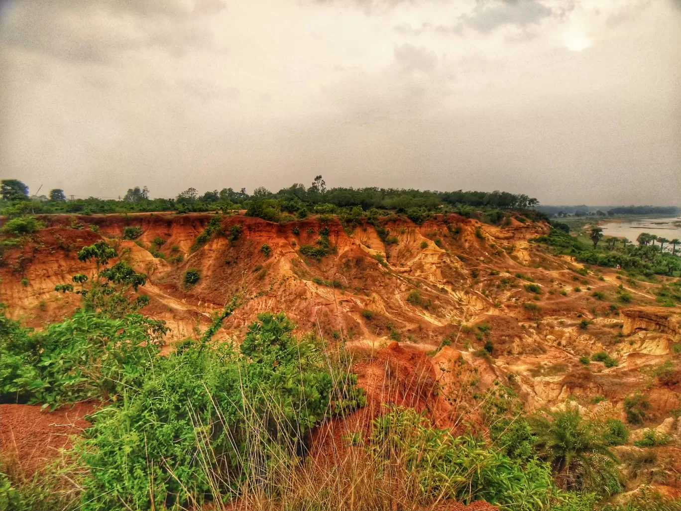 Photo of Gongoni Picnic Spot By abhra ballav