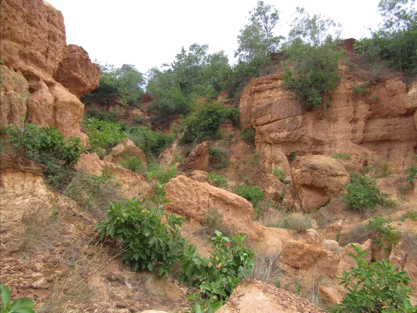 Photo of Gongoni Picnic Spot By abhra ballav