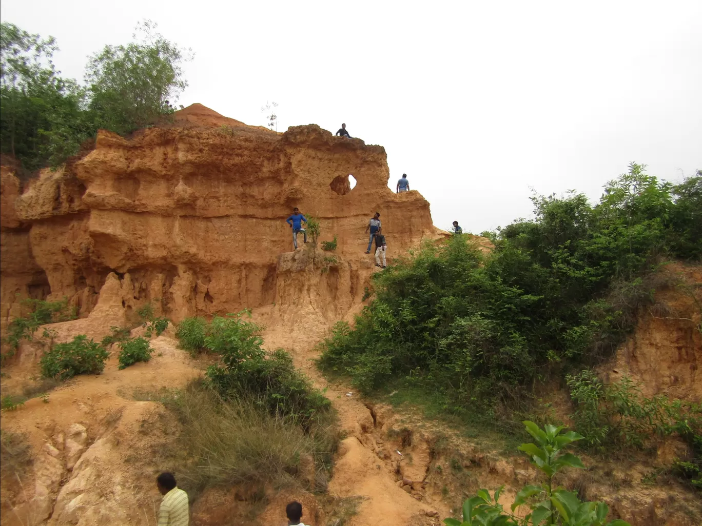 Photo of Gongoni Picnic Spot By abhra ballav