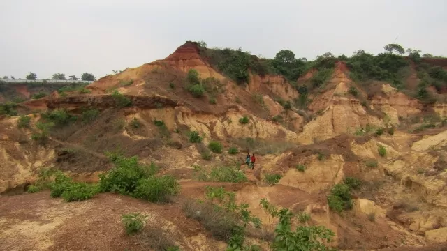 Photo of Gongoni Picnic Spot By abhra ballav