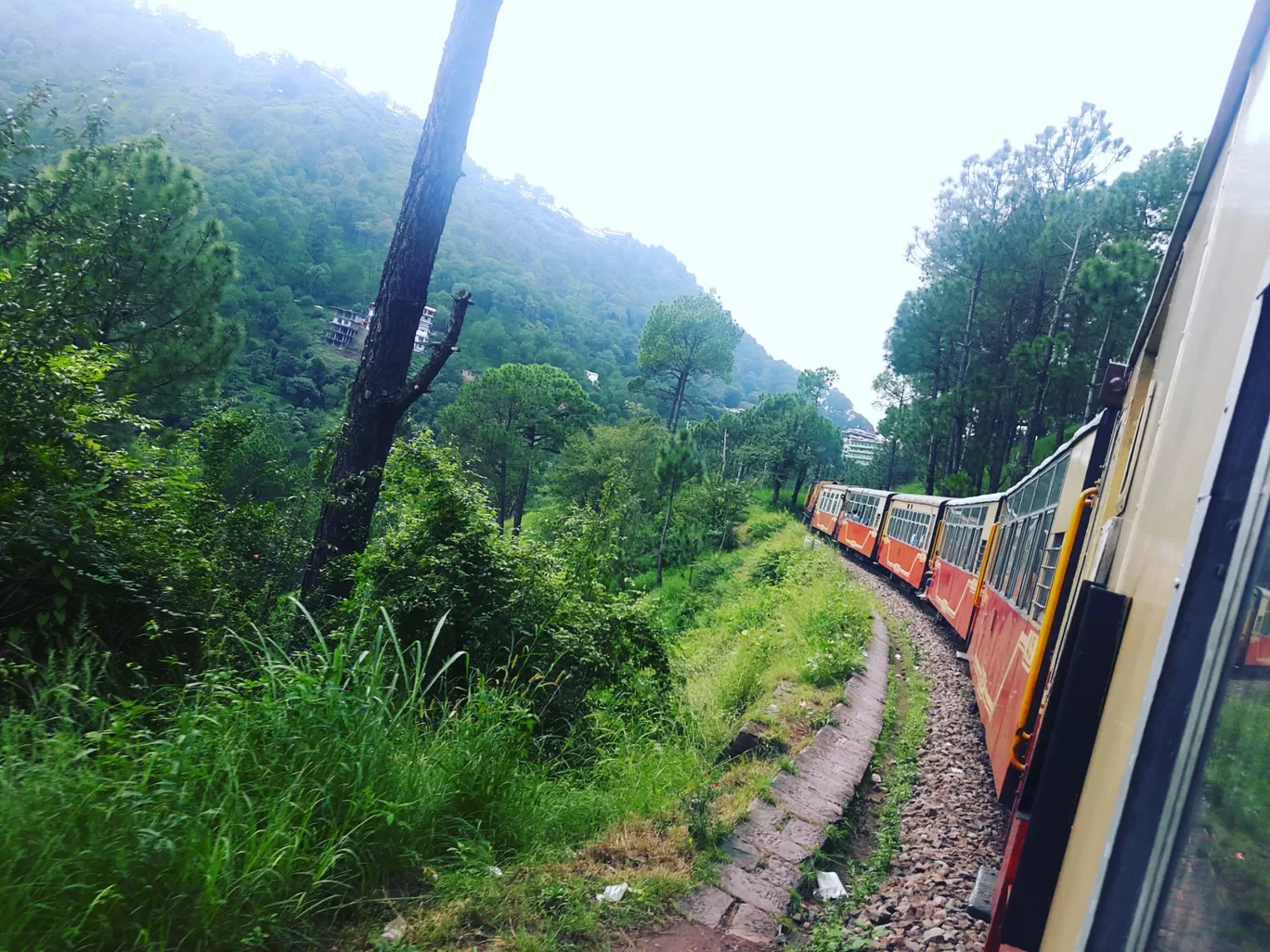 Photo of Kalka - Shimla Road By Raksha Yadav